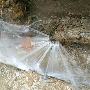 侨乡街道开发区消防管道漏水检测